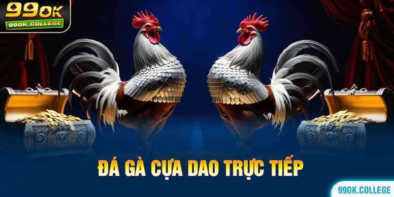 Đá gà cựa dao trực tiếp bây giờ